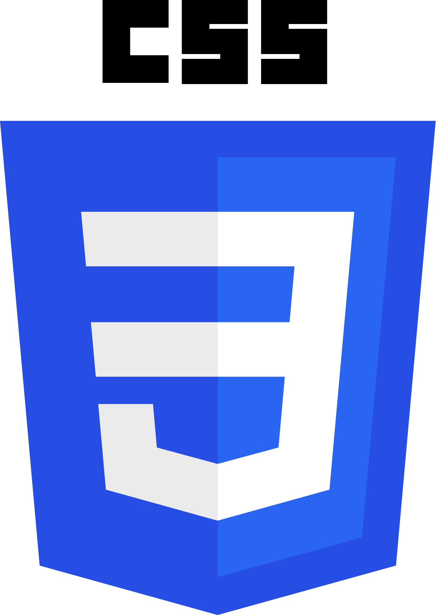 techCSS3